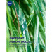 Дезодорант-антиперспирант шариковый Nivea Энергия свежести с экстрактом лемонграсса, 50 мл