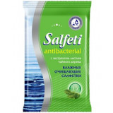 Salfeti Салфетки влажные антибактериальные 15 шт
